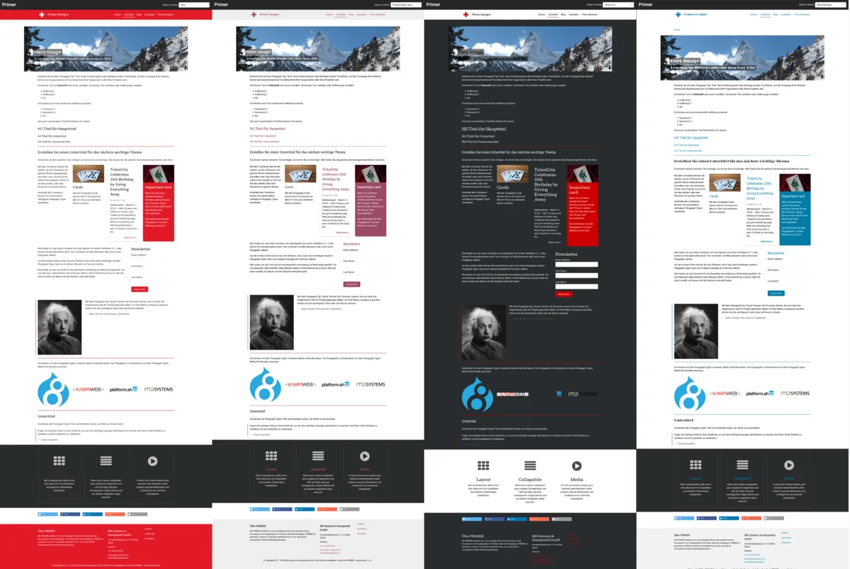 Examples of design variations.