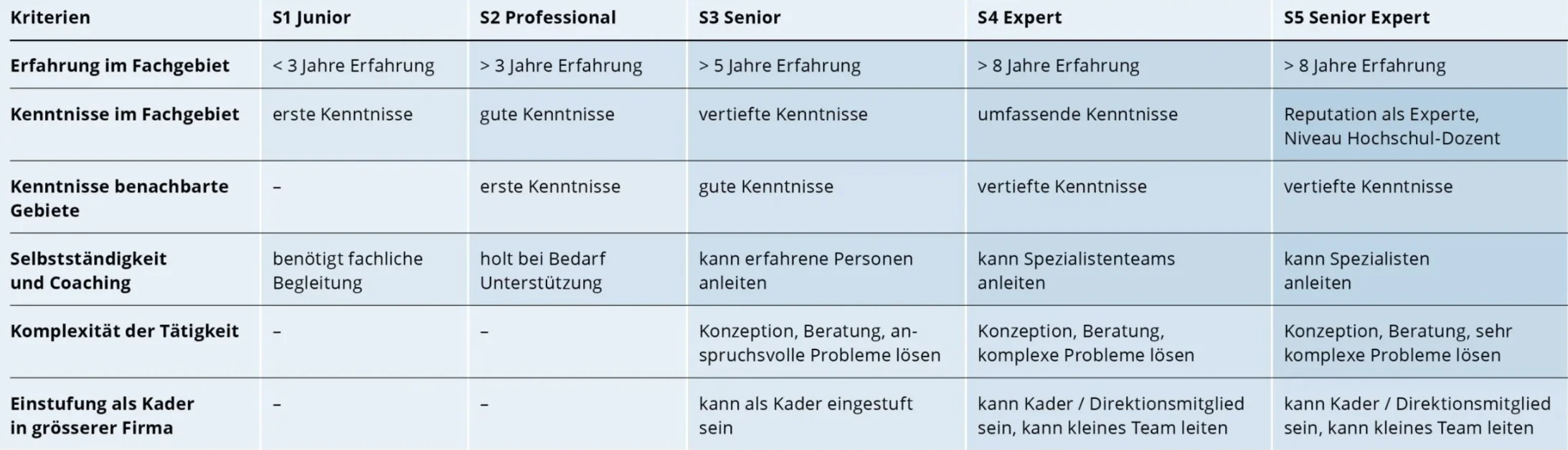 SwissICT Kompetenzmodell